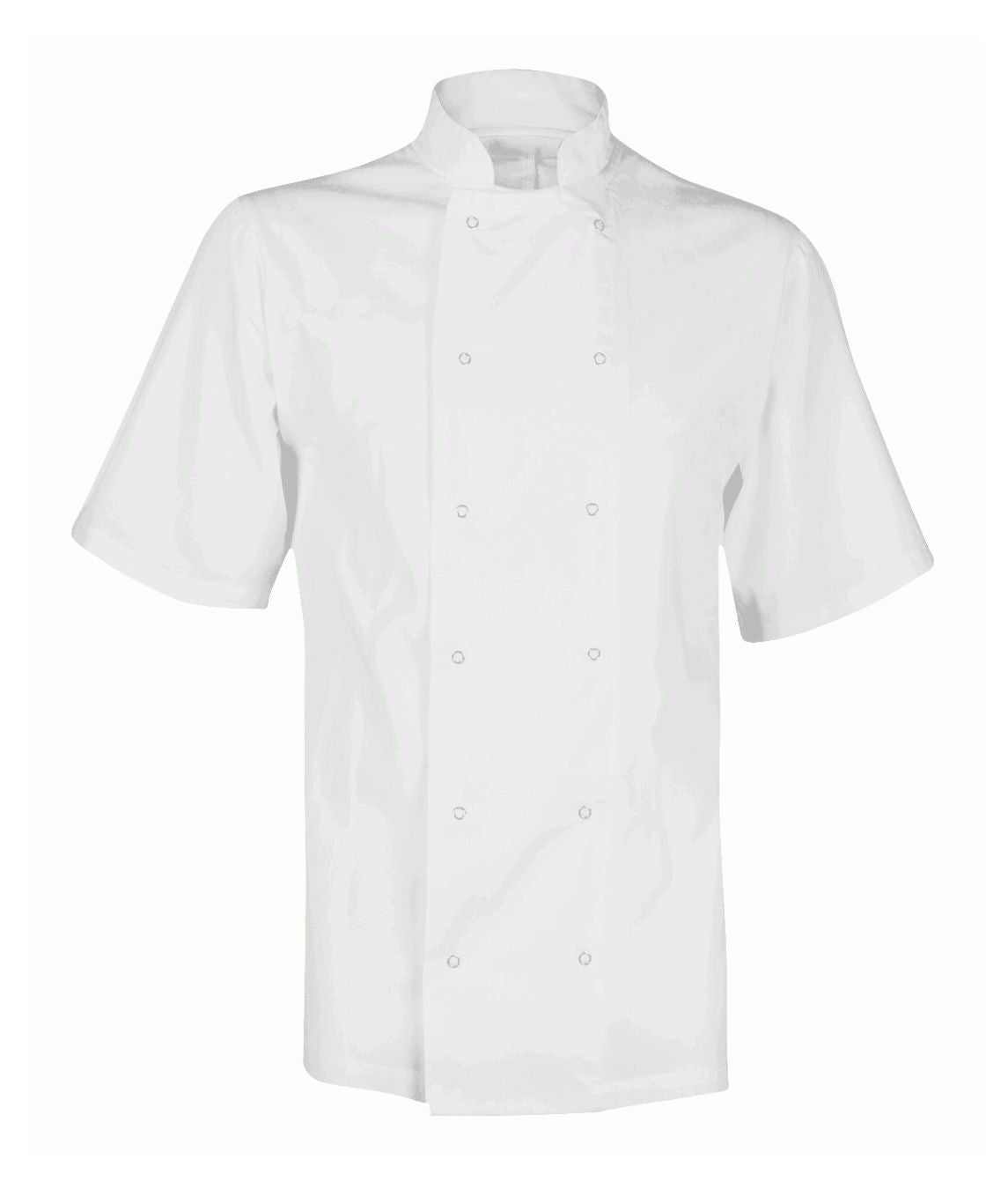 Chef's Jacket Unisex Short Sleeve| White - Eg Clothing UK