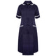 Navy/White Trim