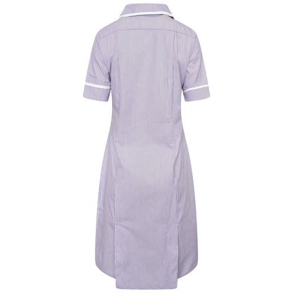 Behrens Round Collar Dress