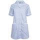 Blue/White Stripe/ White Trim