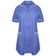 Hospital Blue/White Trim