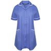 Hospital Blue/White Trim