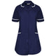 Navy/White Trim