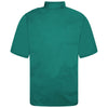 Bottle Green