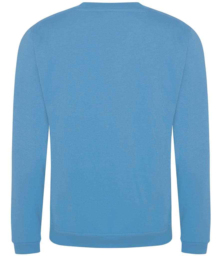 Pro RTX Pro Sweatshirt | Sky Blue - Eg Clothing UK